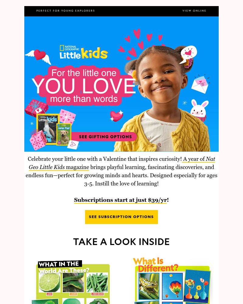 Screenshot of email with subject /media/emails/catch-a-love-bug-this-valentines-day-with-the-prefect-gift-nat-geo-little-kids-su_eGFW5Cn.jpg