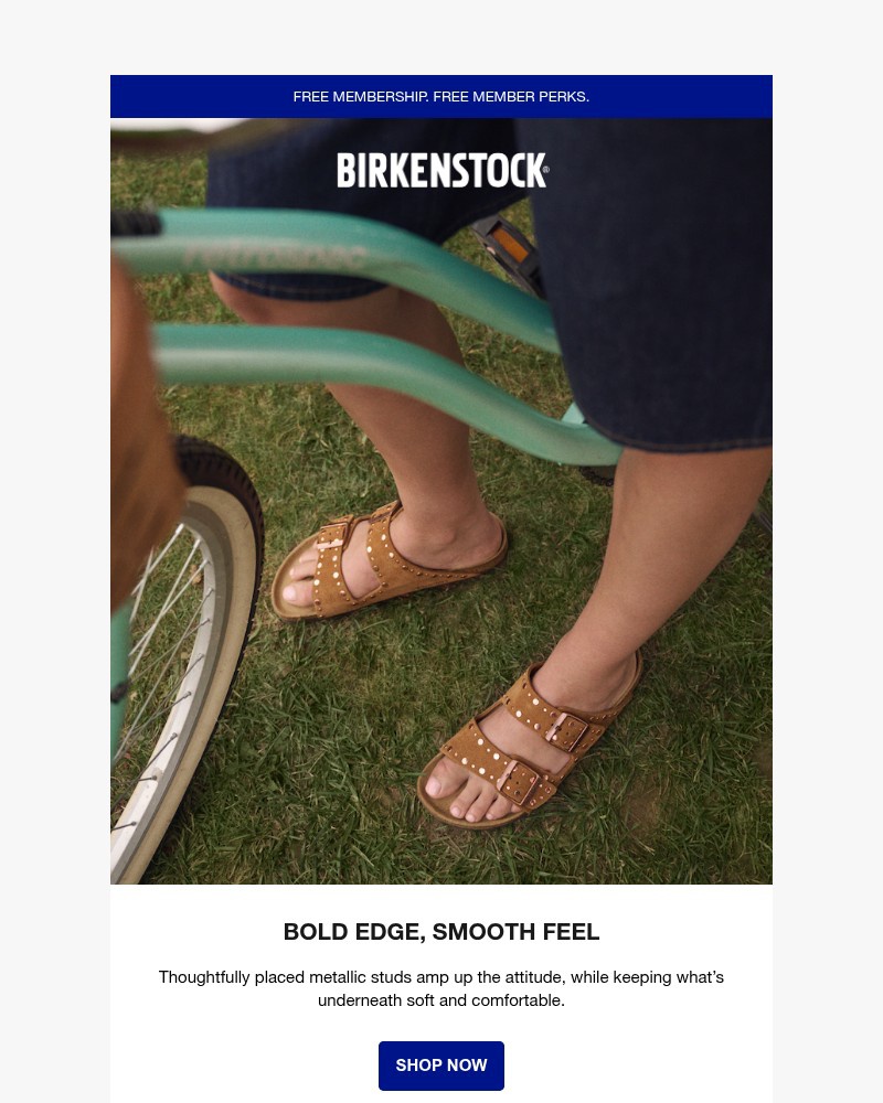 Screenshot of email with subject /media/emails/catch-light-and-looks-in-studded-styles-d06c84-cropped-e67de750.jpg