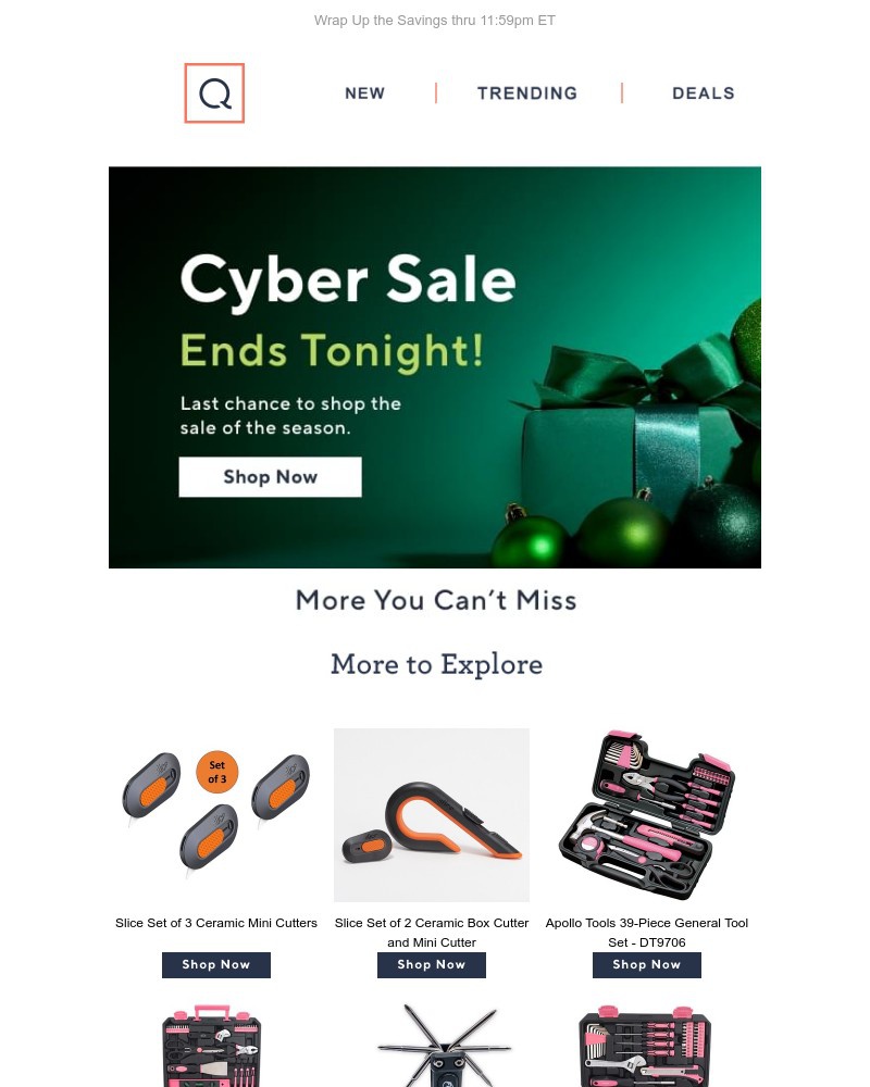 Screenshot of email with subject /media/emails/catch-this-sale-while-you-can-16b9c5-cropped-357670a2.jpg