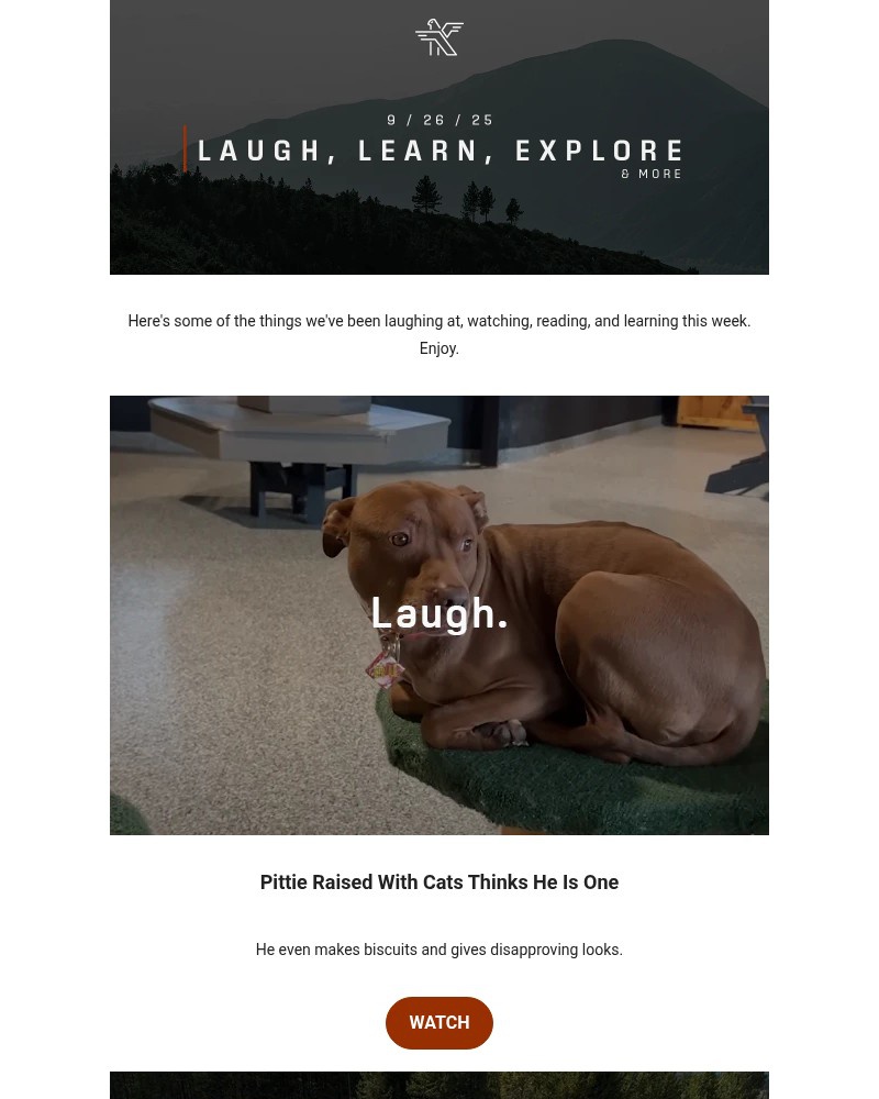 Screenshot of email with subject /media/emails/catdog-not-your-average-hat-trick-greeces-bartering-island-the-best-ultralight-pa_rtxQeBM.jpg