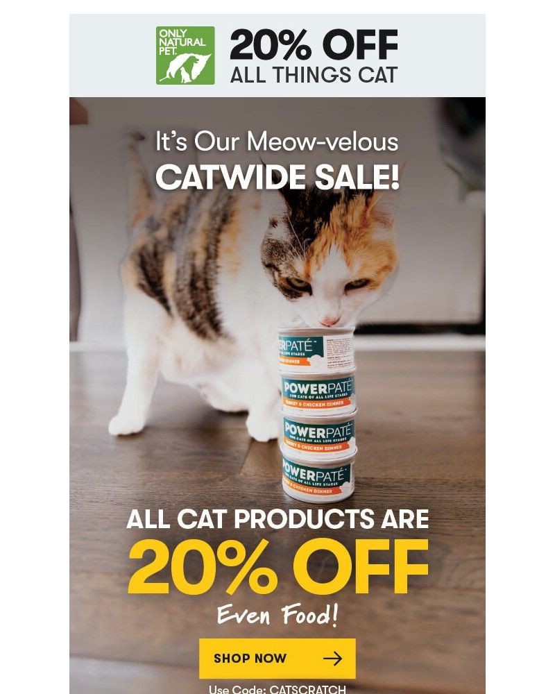 Screenshot of email with subject /media/emails/cats-have-taken-over-our-store-everything-is-20-off-3cb47e-cropped-45c75cc5.jpg