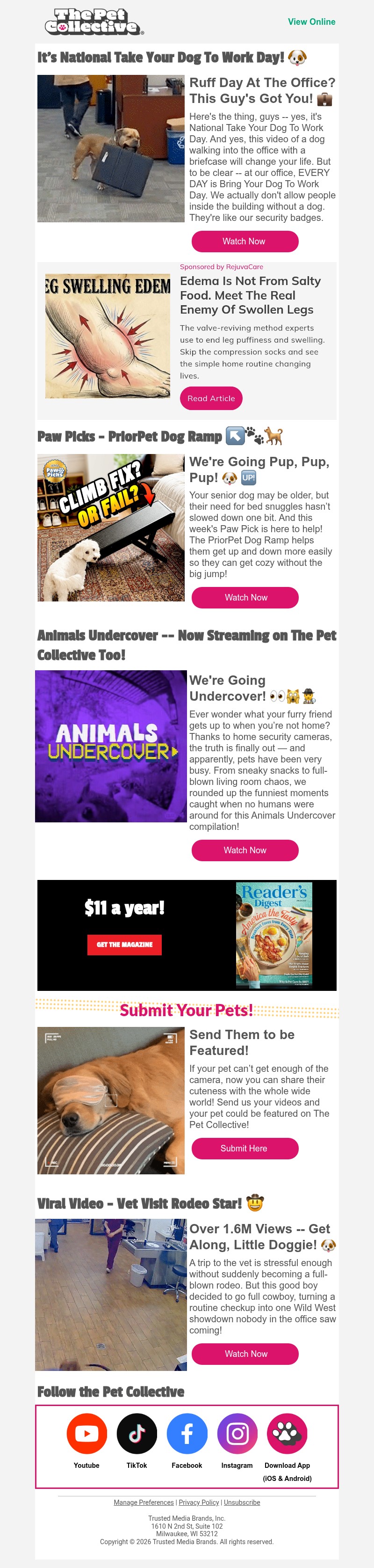 Screenshot of email with subject /media/emails/cb291810-571b-4738-a54e-2902496cd3ad.jpg