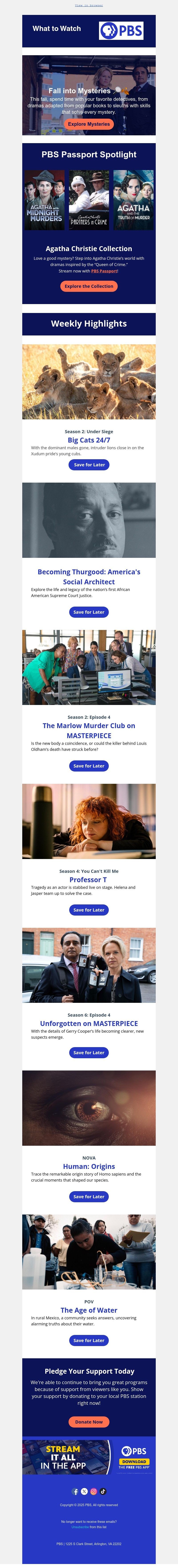 Screenshot of email with subject /media/emails/cc364614-1dd3-4642-8f3b-952c48a69dd0.jpg