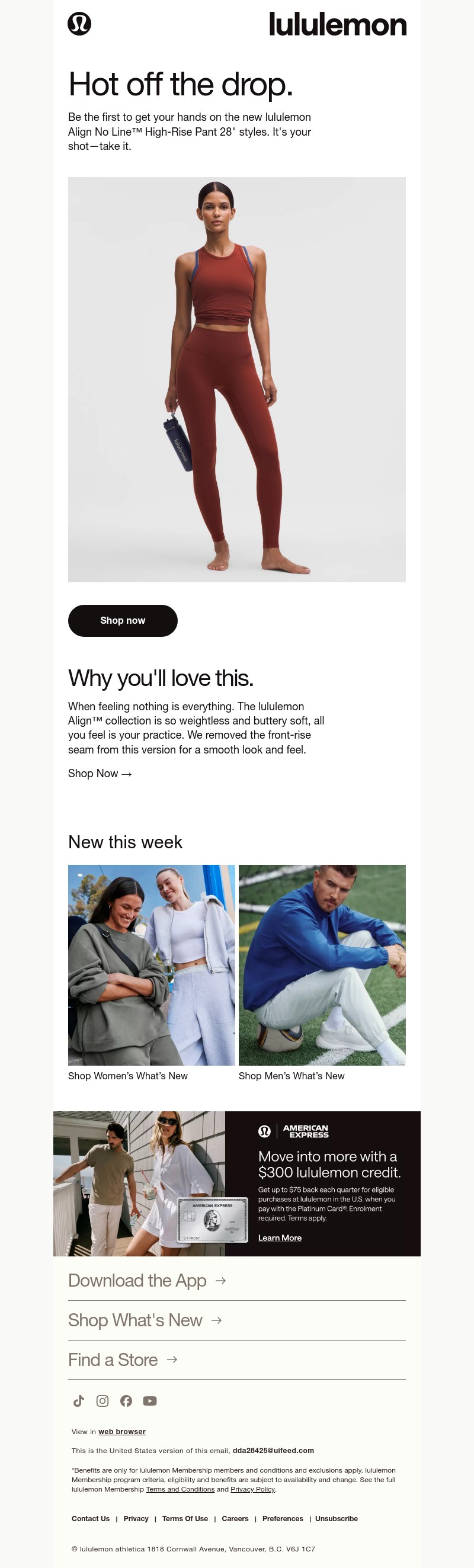 Screenshot of email with subject /media/emails/cd3ad5d4-05fd-4195-be98-88aafe31604f.jpg