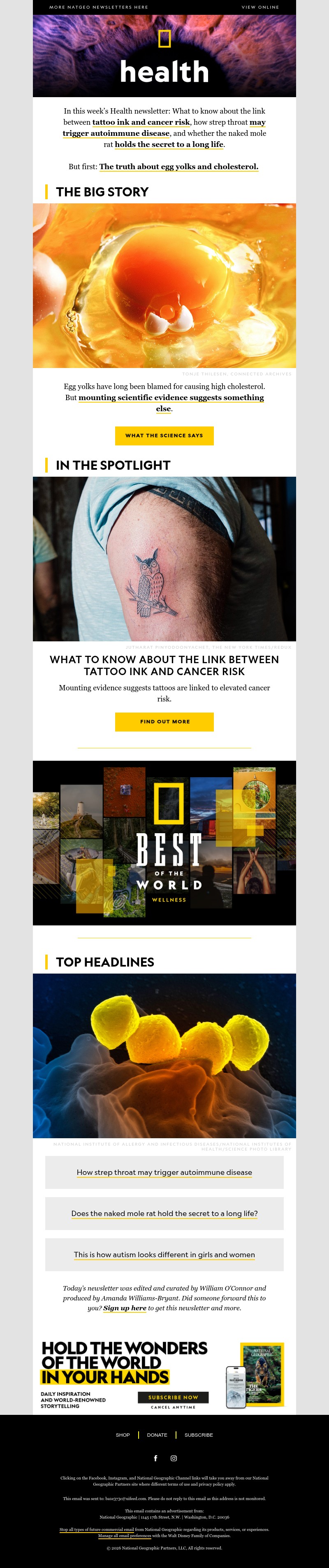 Screenshot of email with subject /media/emails/cd78bf15-b613-4e1b-93d8-10623ea13c80.jpg