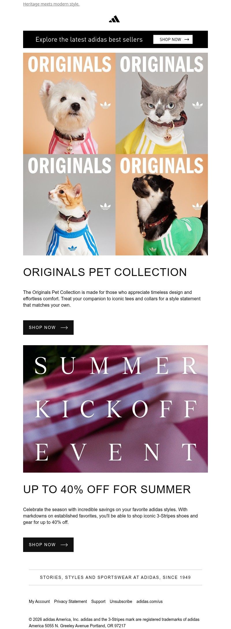 Screenshot of email with subject /media/emails/ce2cdd48-763a-4132-9aec-b82a6d69e6d0.jpg