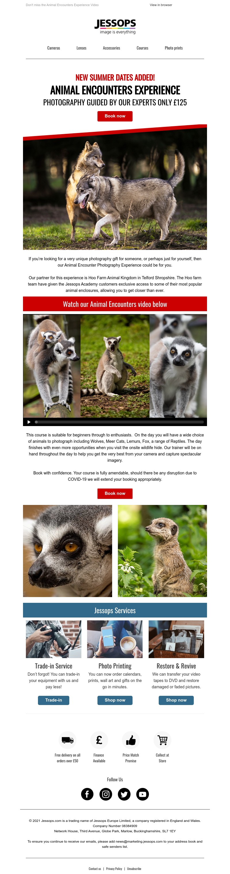 Screenshot of email with subject /media/emails/ce2cf967-6d1e-4a1b-90e7-91a289a410f3.jpg