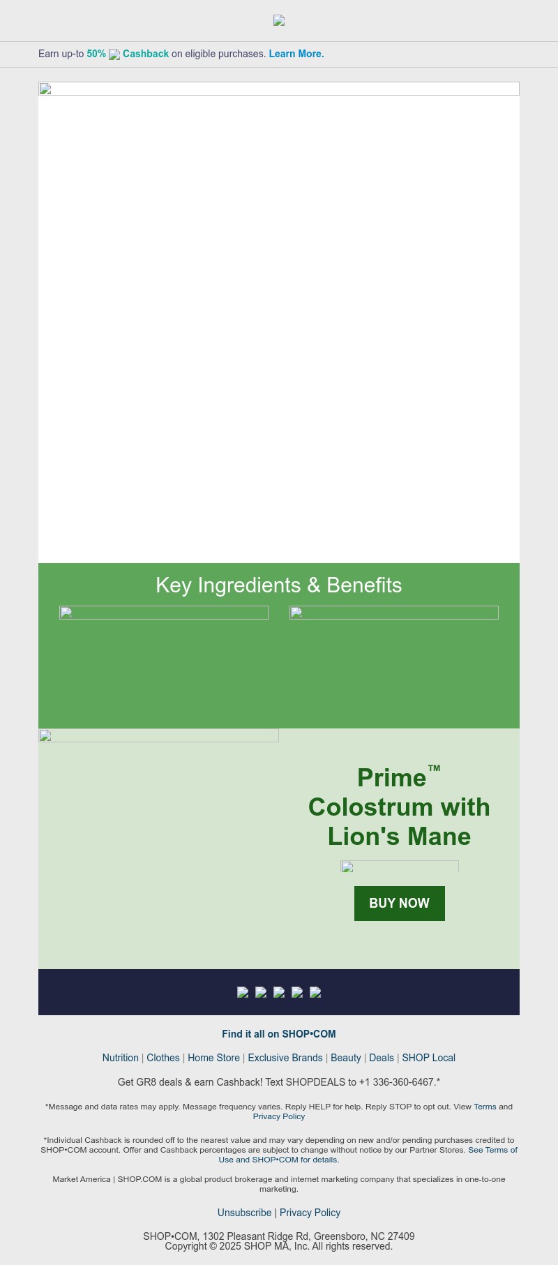 Screenshot of email with subject /media/emails/ce67e38d-8ce2-44fd-ae78-443a91c2349c.jpg