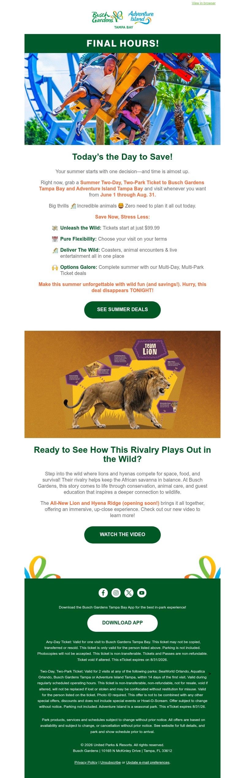 Screenshot of email with subject /media/emails/ceb4d6df-fd0b-4344-a21e-4184c06d5610.jpg