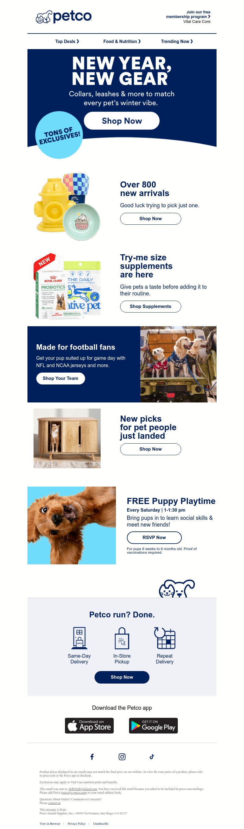 Screenshot of email with subject /media/emails/ced749c5-d017-4ef6-b9d8-b5a459256a35.jpg