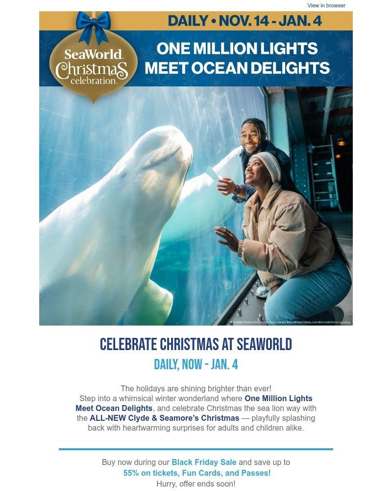 Screenshot of email with subject /media/emails/celebrate-christmas-all-week-f64508-cropped-076c6b5e.jpg