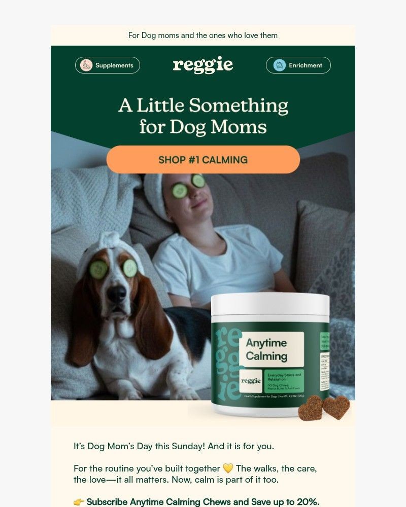 Screenshot of email sent to a reggie Newsletter subscriber