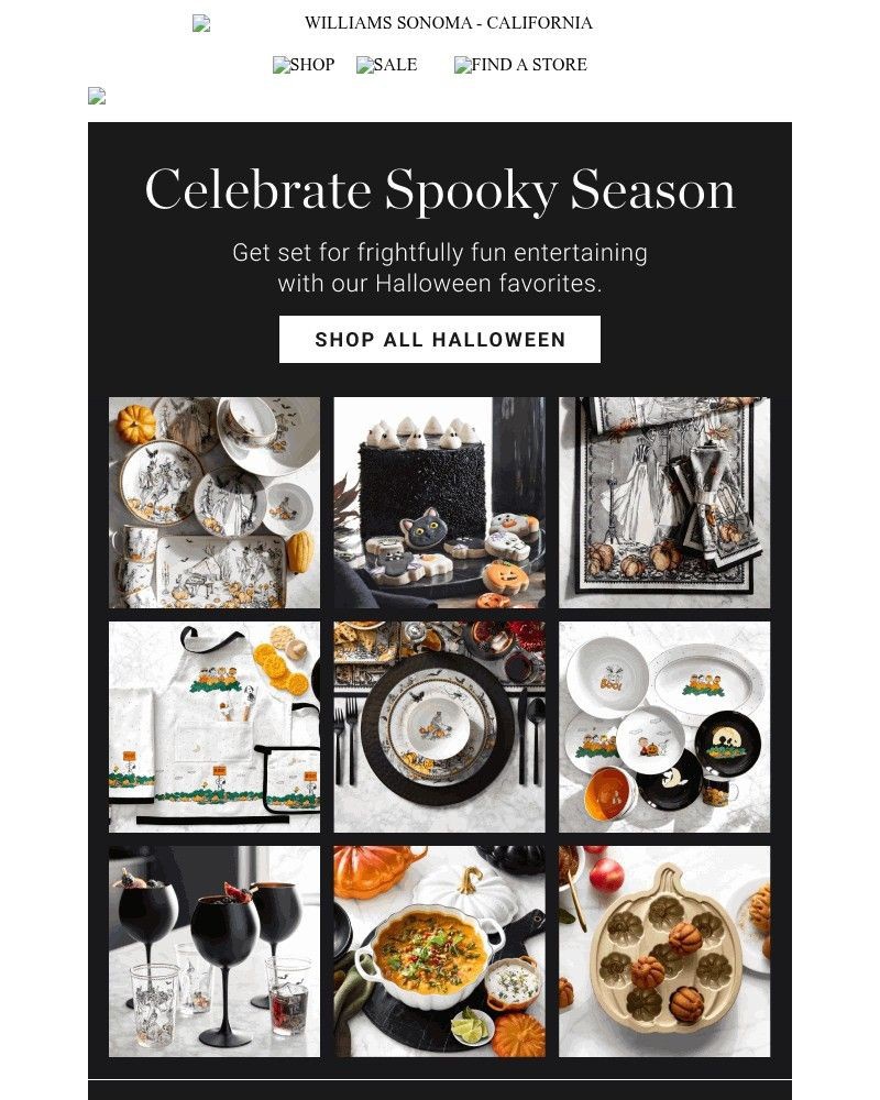 Screenshot of email sent to a Pottery Barn Newsletter subscriber