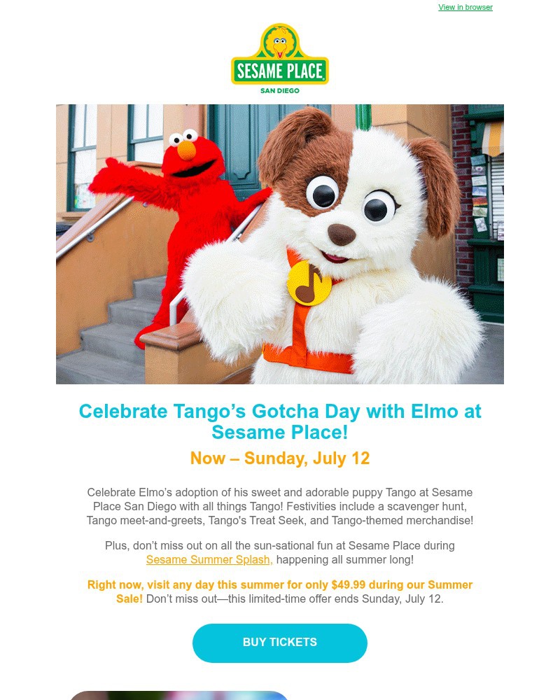 Screenshot of email sent to a Sea World Newsletter subscriber