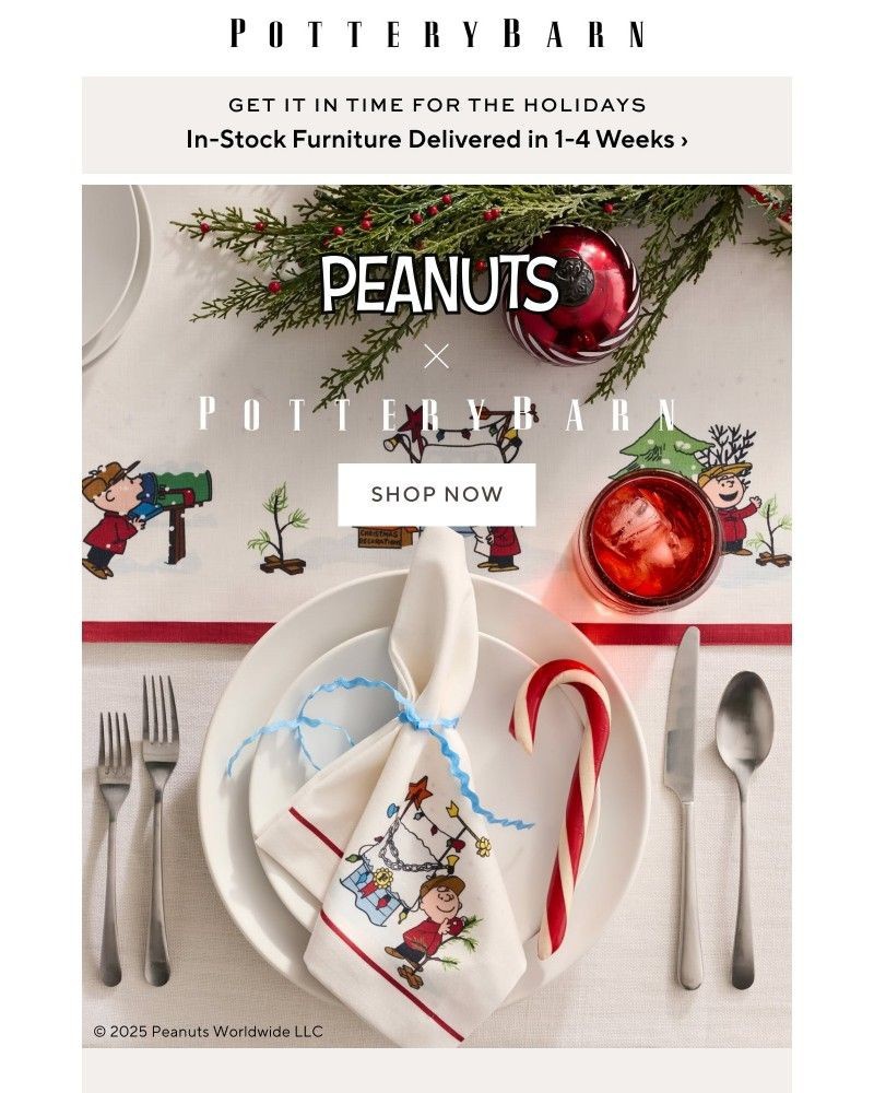 Screenshot of email with subject /media/emails/celebrate-the-season-with-charlie-brown-681357-cropped-47136790.jpg