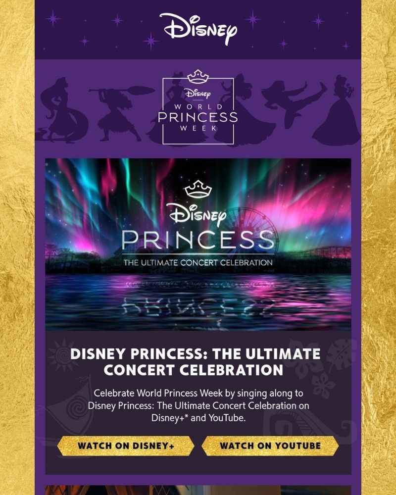 Screenshot of email sent to a Walt Disney World Resort Registered user
