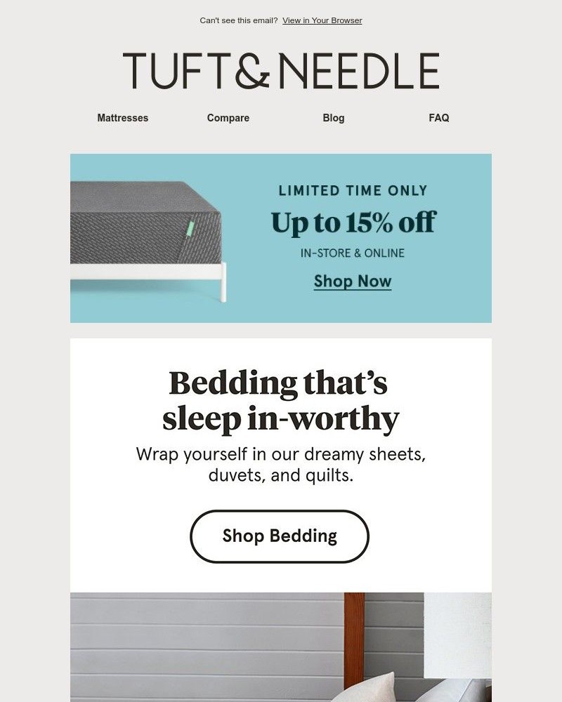 Screenshot of email with subject /media/emails/celebrate-world-sleep-day-with-cozy-bedding-8a8412-cropped-7b065f34.jpg