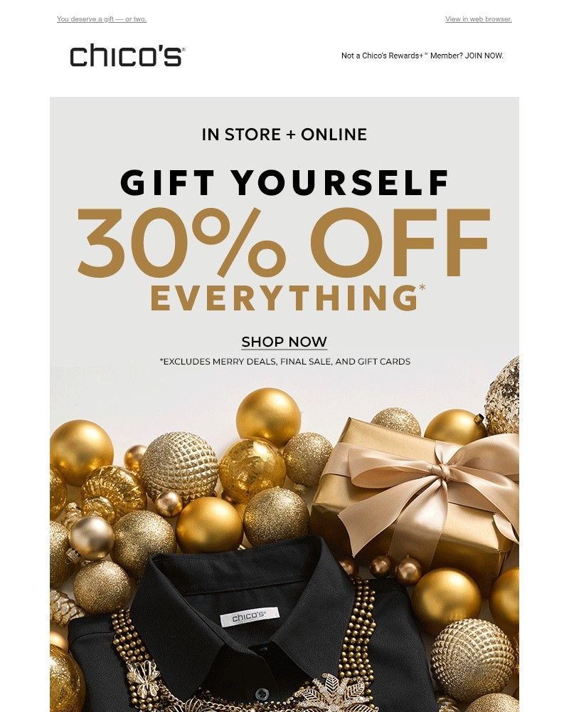 Screenshot of email sent to a Chico’s Newsletter subscriber