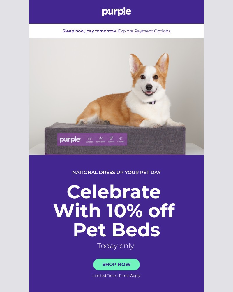 Screenshot of email with subject /media/emails/celebrate-your-pet-10-off-pet-beds-0fa430-cropped-0b35cf1e.jpg