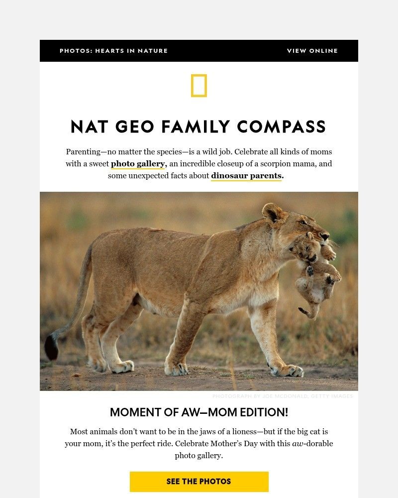 Screenshot of email with subject /media/emails/celebrating-wild-animal-moms-plus-snuggly-dinosaurs-6fd1a6-cropped-5bae9d85.jpg