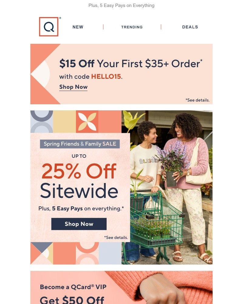 Screenshot of email sent to a QVC Newsletter subscriber