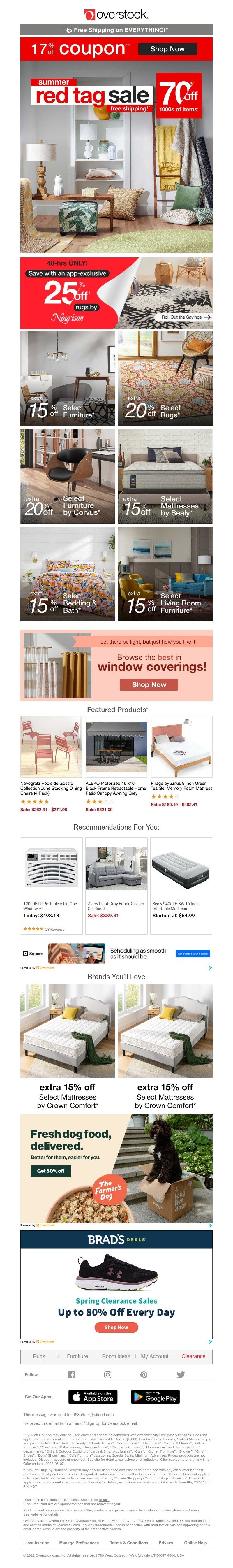 Screenshot of email with subject /media/emails/cf2b834c-4f49-4340-8eb4-9adffb4a5038.jpg