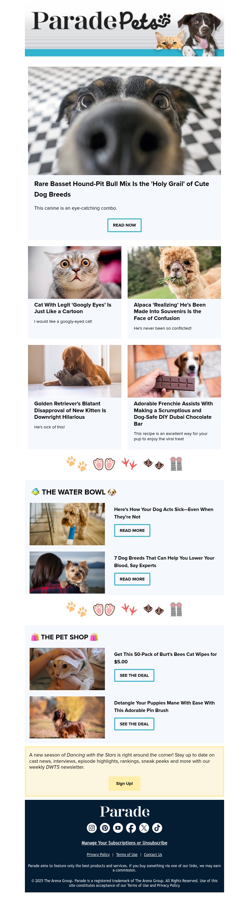 Screenshot of email with subject /media/emails/cf6534cf-43c7-4e09-a1c8-bc9de95373ee.jpg