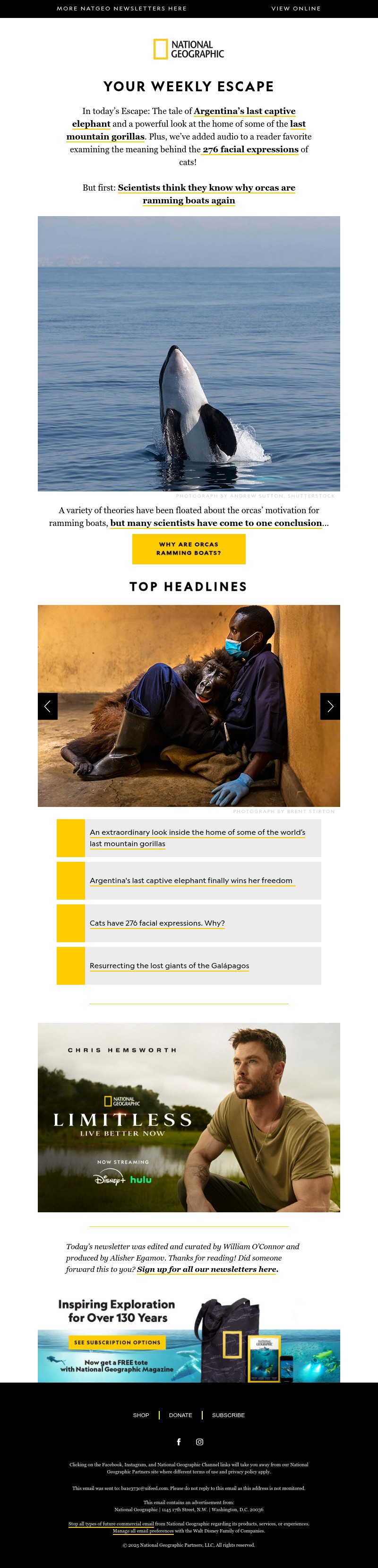 Screenshot of email with subject /media/emails/cfb200be-556a-440f-b9ea-7ff6928d7c8c.jpg