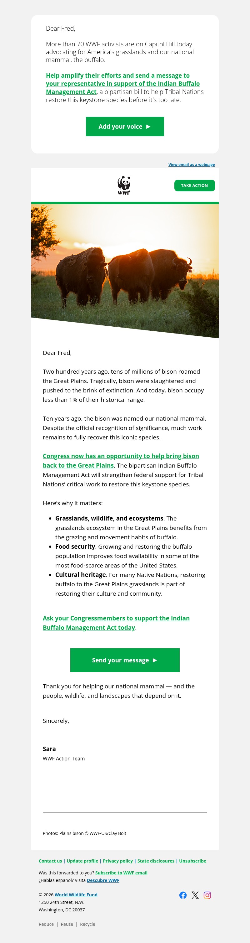 Screenshot of email with subject /media/emails/cfd4c9c5-c20a-4c84-b9ae-8d1191818ec7.jpg