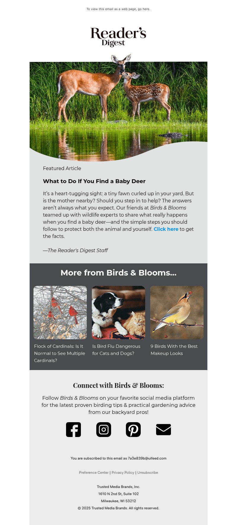 Screenshot of email with subject /media/emails/cfde12ca-5c67-4b00-9af1-edbd660130b1.jpg