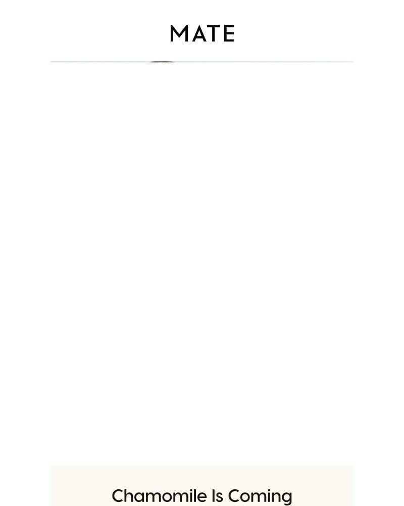 Screenshot of email sent to a MATE the Label Newsletter subscriber