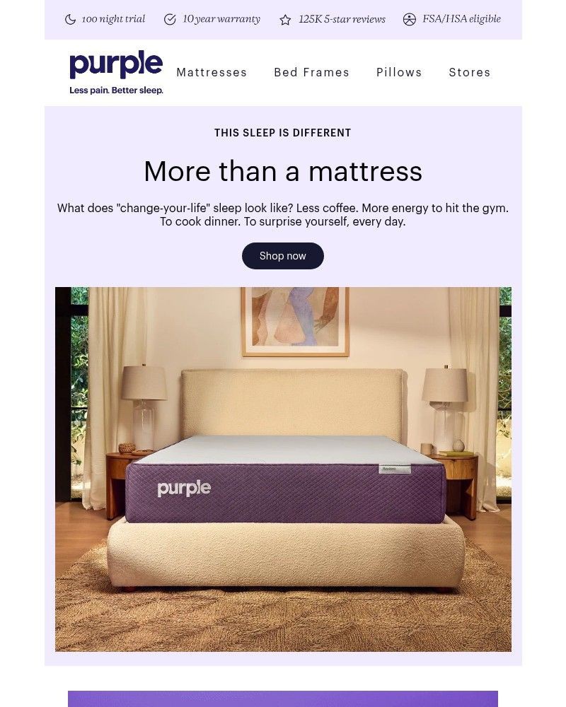 Screenshot of email sent to a Purple Cart abandoner