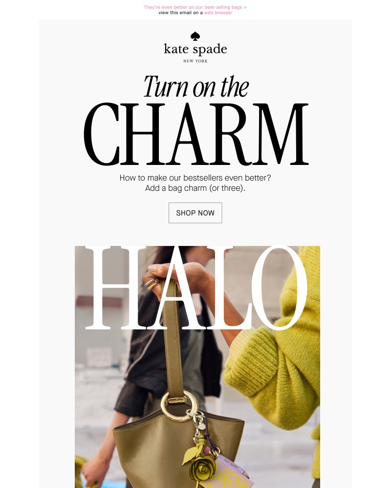 Screenshot of email with subject /media/emails/charms-on-charms-on-charms-b83027-cropped-bf368373.jpg