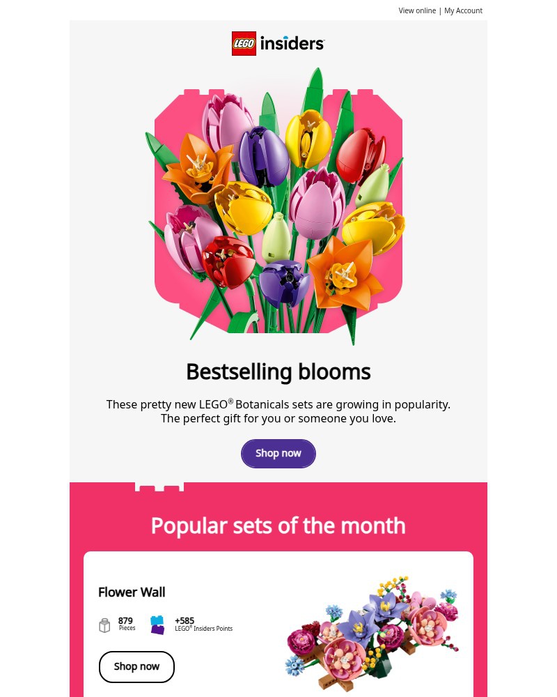 Screenshot of email with subject /media/emails/check-out-our-latest-and-greatest-sets-fred-57b430-cropped-c9db63e6.jpg