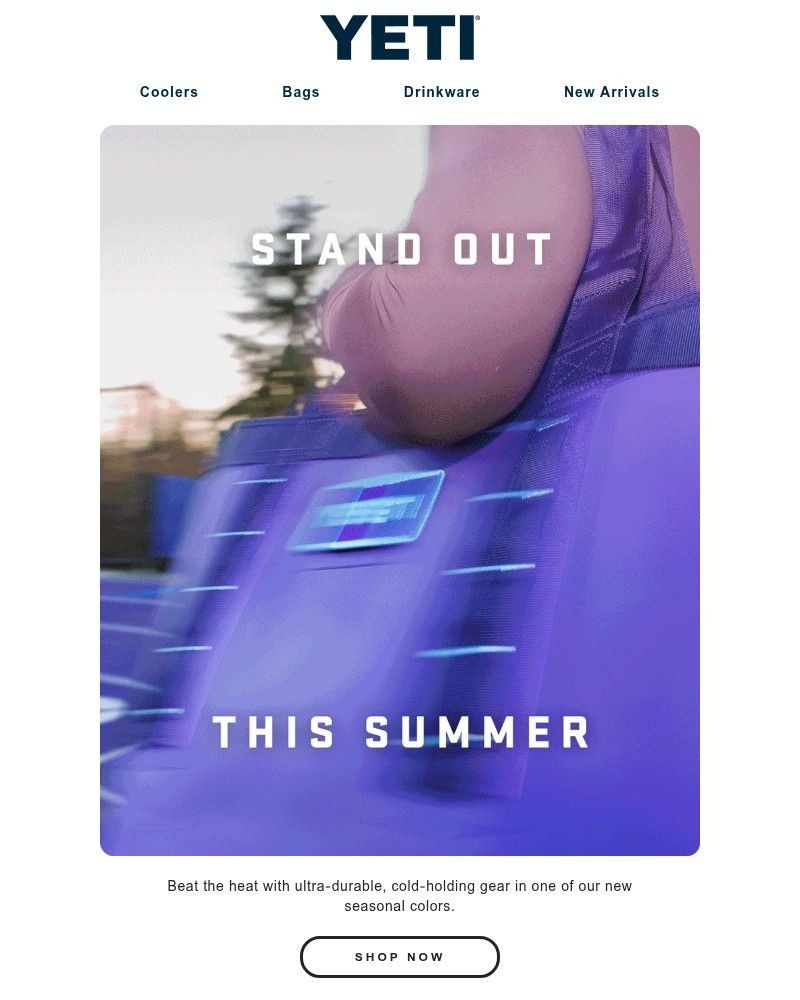 Screenshot of email sent to a Yeti Newsletter subscriber