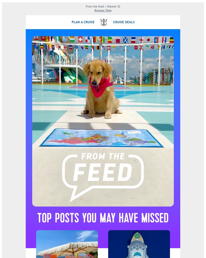 Screenshot of email with subject /media/emails/check-out-the-posts-heating-up-our-socials-9ca3b4-cropped-536341d6.jpg