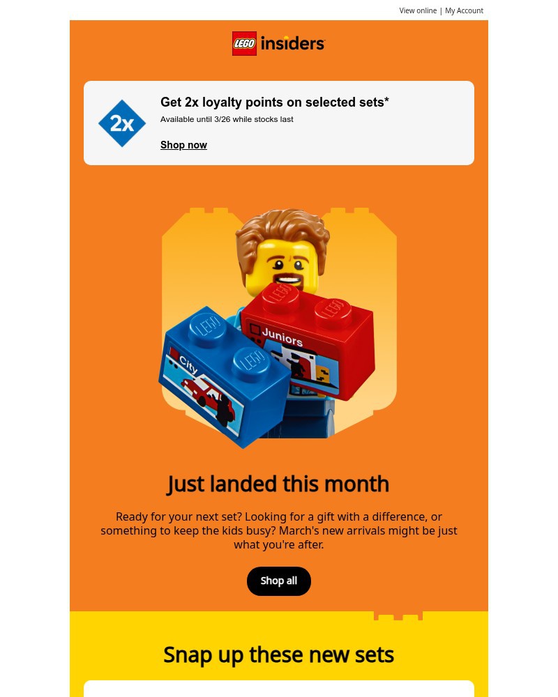 Screenshot of email sent to a Lego Registered user
