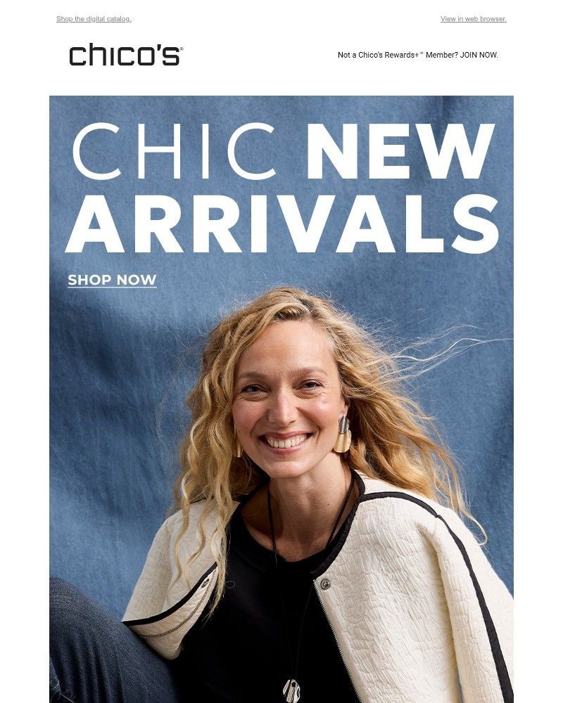 Screenshot of email with subject /media/emails/chic-like-you-new-arrivals-57723a-cropped-88d8c8a5.jpg