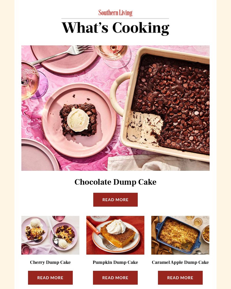 Screenshot of email with subject /media/emails/chocolate-dump-cake-c2bdbd-cropped-d7632226.jpg