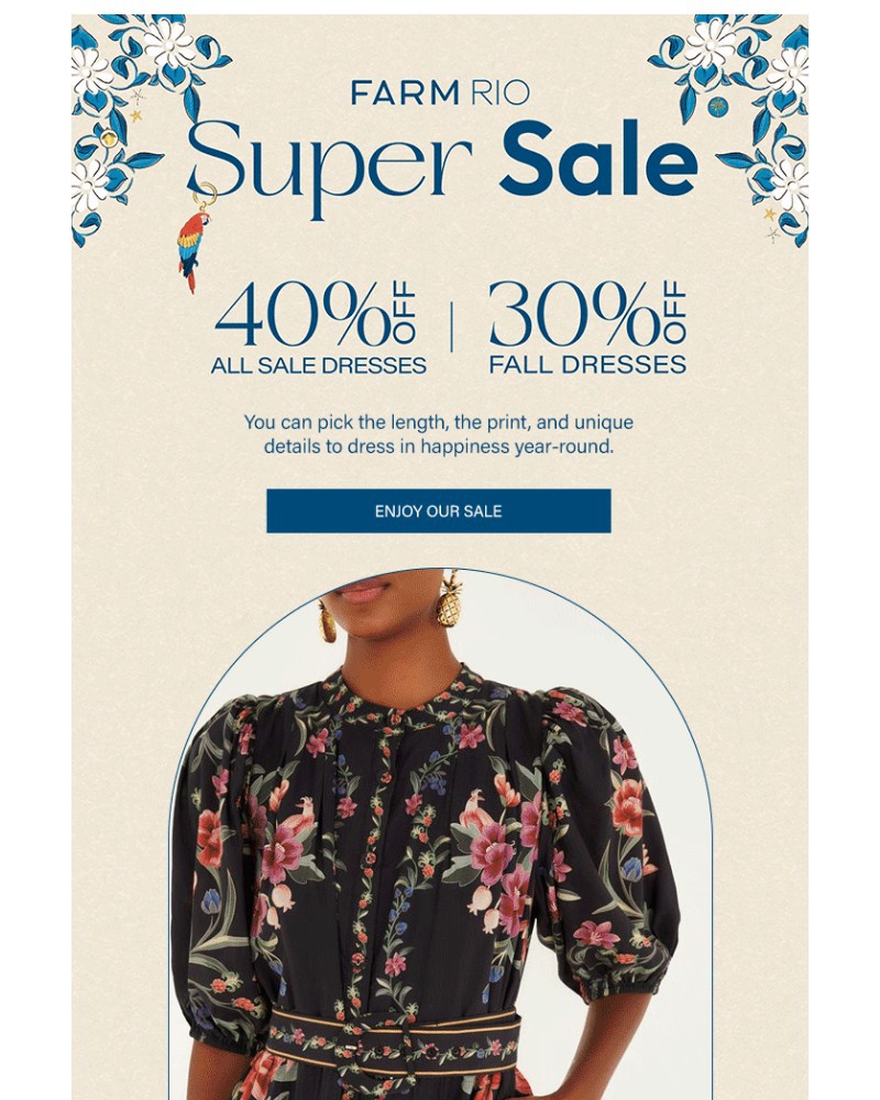 Screenshot of email sent to a Farm Rio Newsletter subscriber