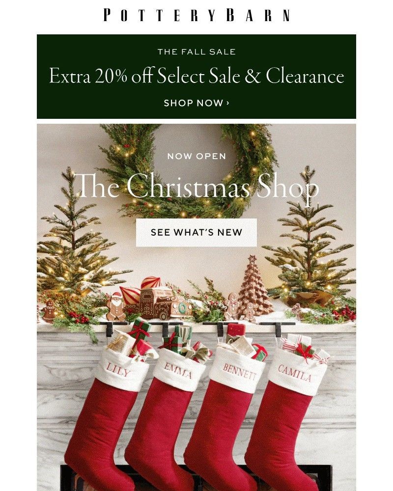 Screenshot of email with subject /media/emails/christmas-favorites-for-your-holiday-home-5dab4f-cropped-35e294e6.jpg