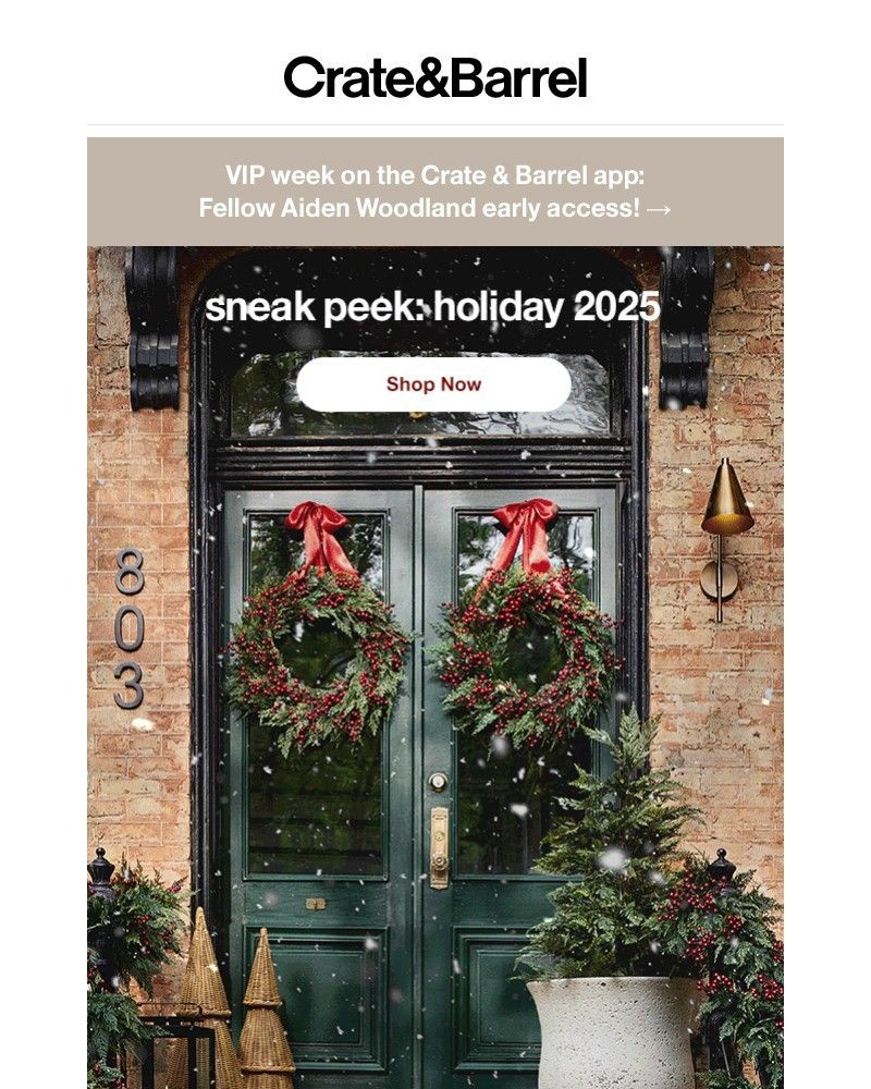 Screenshot of email with subject /media/emails/christmas-season-starts-whenever-you-want-it-to-318988-cropped-460c8c53.jpg