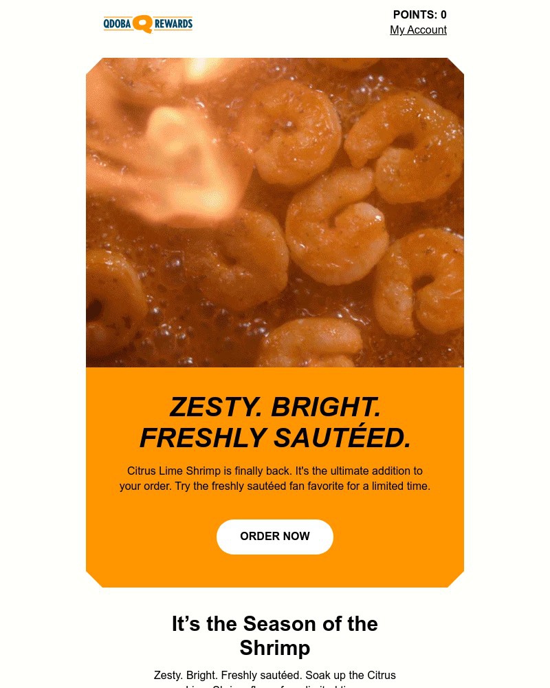 Screenshot of email sent to a Qdoba Registered user