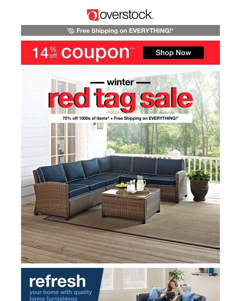 Screenshot of email with subject /media/emails/claim-your-14-off-coupon-make-your-home-a-space-to-gather-save-big-3ab9d0-cropped_0FN5OHJ.jpg