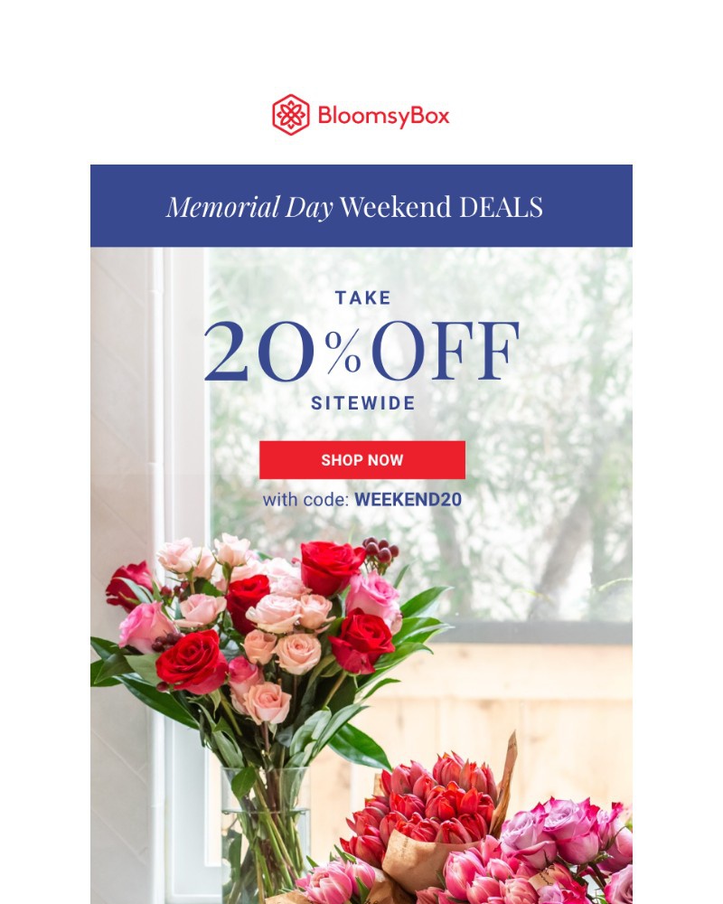Screenshot of email with subject /media/emails/claim-your-20-off-code-a45902-cropped-37b52140.jpg