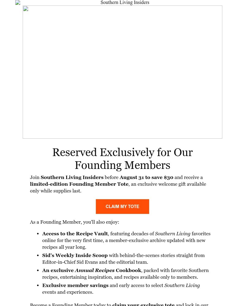 Screenshot of email with subject /media/emails/claim-your-founding-member-tote-9108e9-cropped-d4b69e8c.jpg