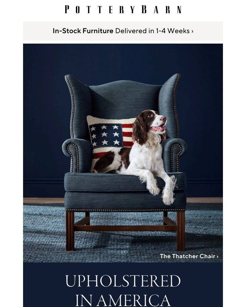 Screenshot of email with subject /media/emails/classic-sofas-chairs-upholstered-in-america-feffbe-cropped-14d6fc37.jpg