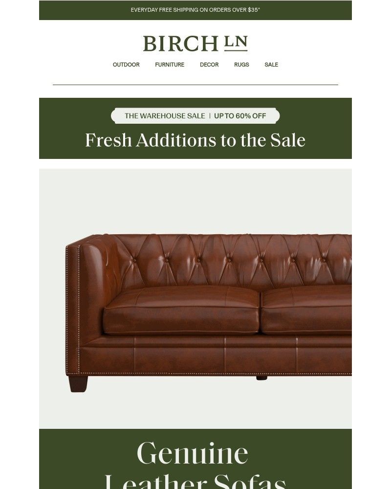 Screenshot of email sent to a Birch Lane Newsletter subscriber