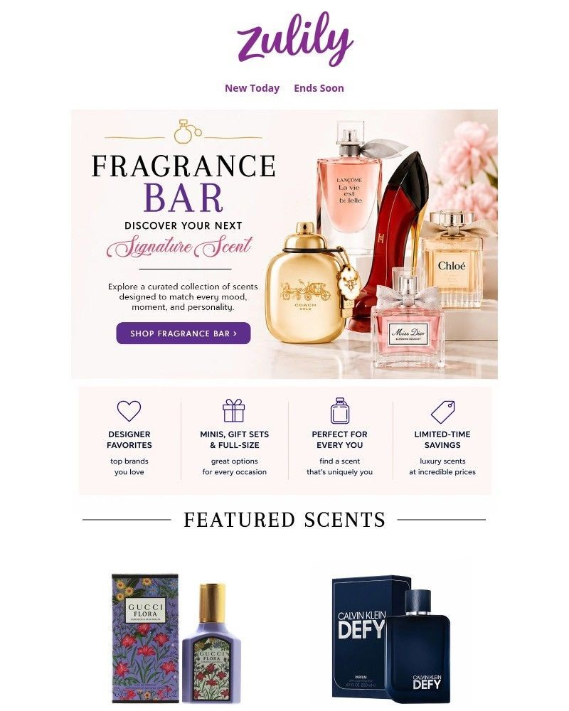 Screenshot of email sent to a Zulily Registered user
