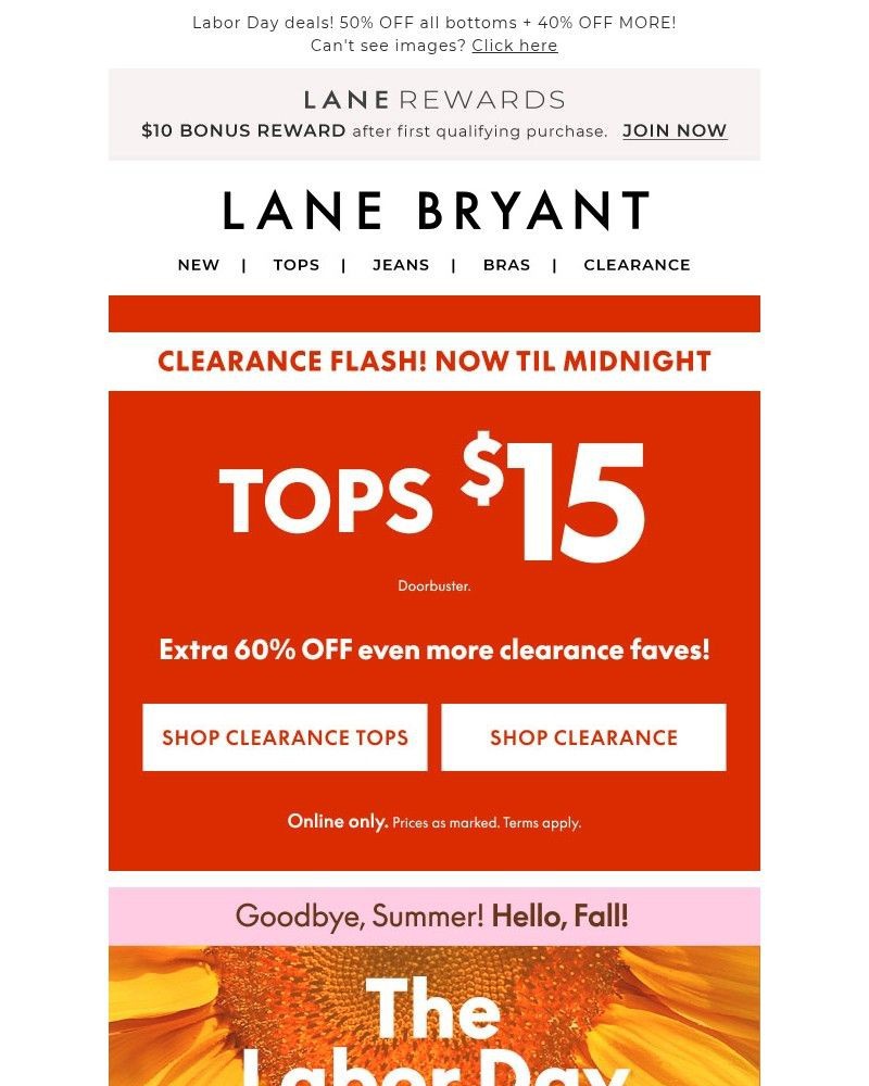 Screenshot of email with subject /media/emails/clearance-flash-tonight-only-15-tops-xtra-60-off-24c2f0-cropped-99345193.jpg